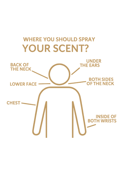 The Art of Perfumery & How to Apply Your Fragrance for Maximum Impact